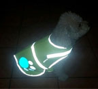 New Reflective Vest for Dogs