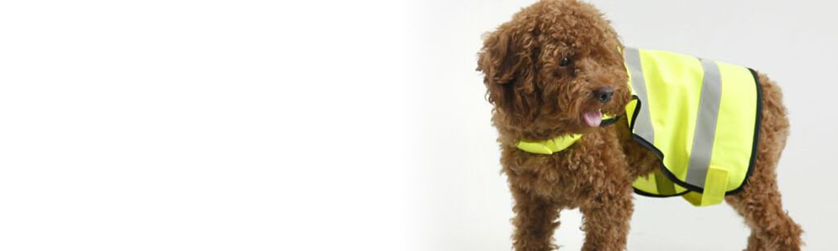 Pet-safety-vests