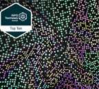 ISPO2020 Munich Textrend Top 10 winner-Iridescent Printing Reflective Fabric ISPO2020 Munich Textrend Top 10 winner-Iridescent Printing Reflective Fabric