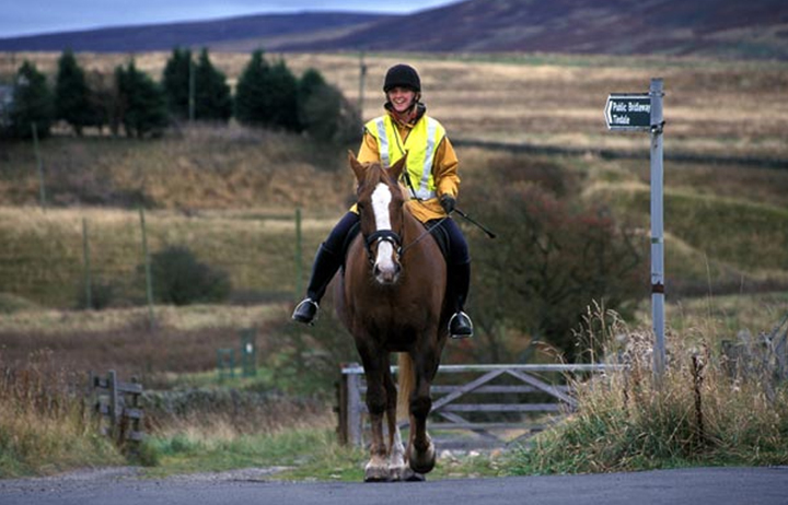 Horse riders put safety first