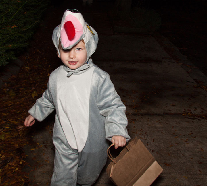 Reflective elements available for Halloween