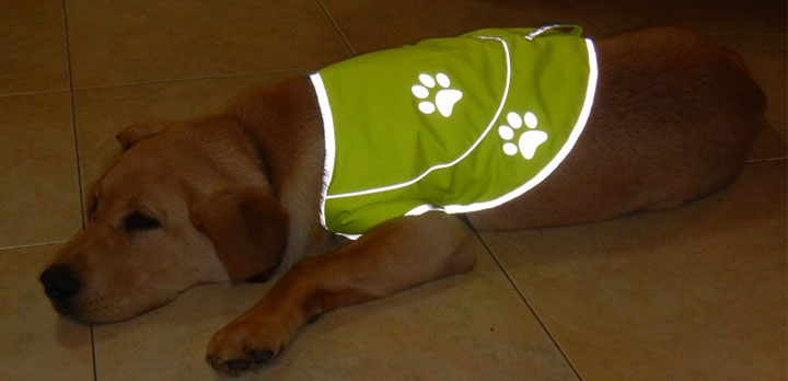 New Reflective Vest for Dogs