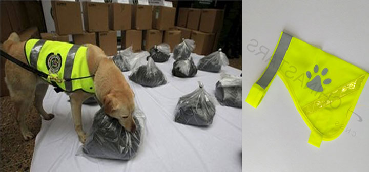 Safety vest for patrol dog