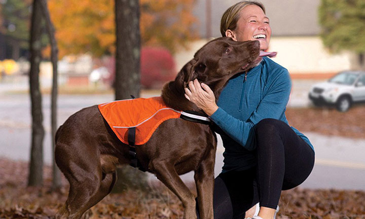 Love pets love pets safety vests 