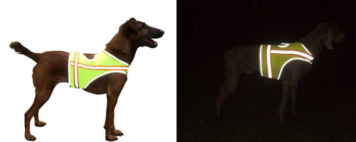 Reflective vest protect pet from danger
