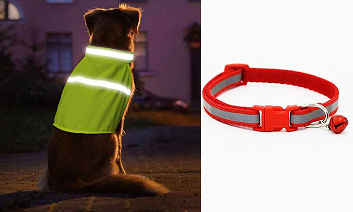 Protect your dog in the dark