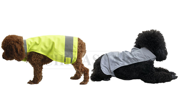 Tips for choosing a dog vest 