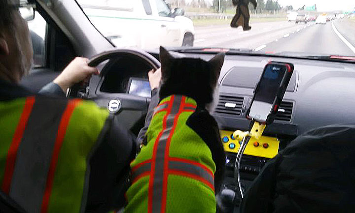 Ways to drive safely