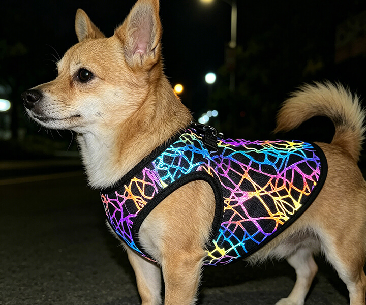 Tessuto riflettente personalizzato per gilet per animali domestici: ispirare la prossima generazione di design di abbigliamento per animali domestici