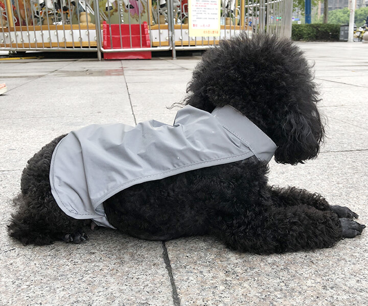 silver safety Pet Apparel